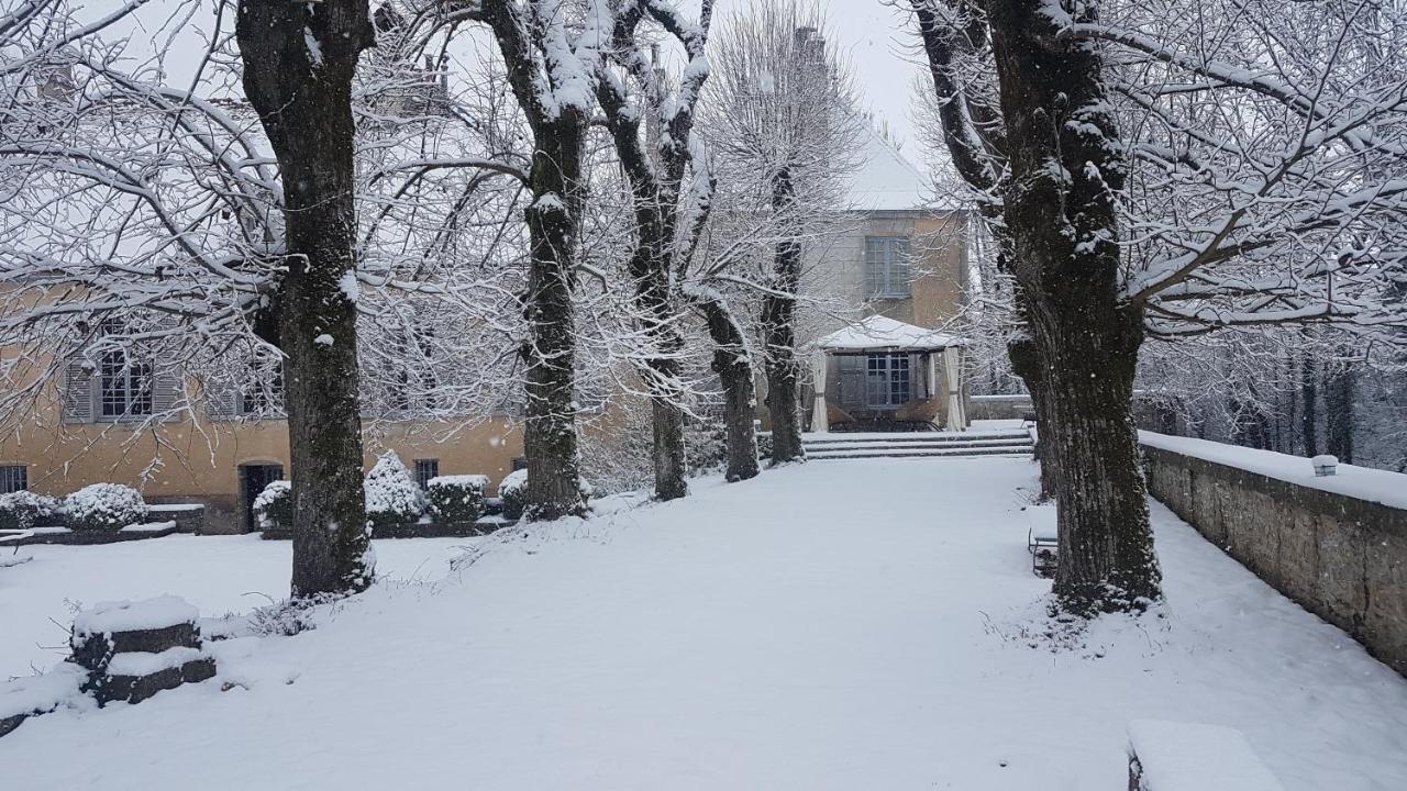 Chateau De Mauvilly Bed and Breakfast Exterior foto